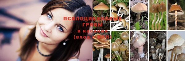 метадон Семилуки