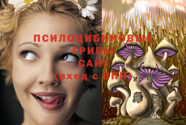 гидропоника Семёнов